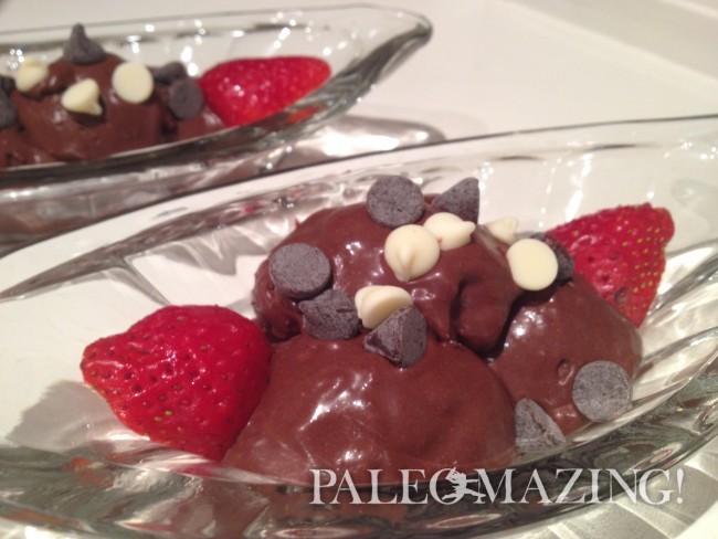 Dark Chocolate Paleo Ice Cream