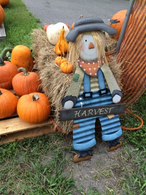 Halloween Harvest Guy