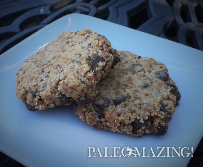 Chocolate Chip Cookies with Tigernut Flour