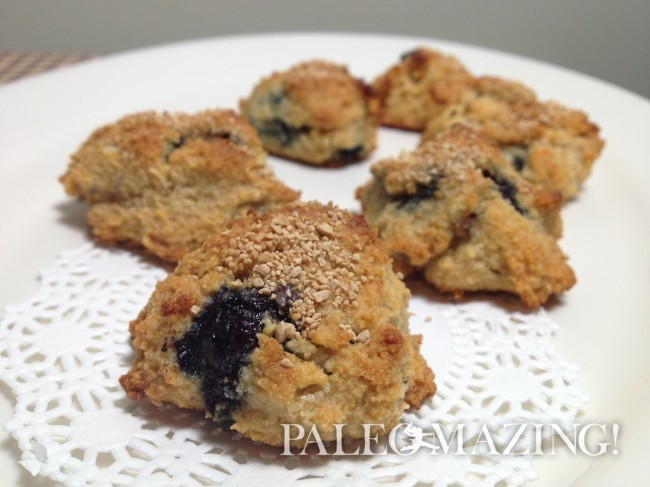 Paleo Blueberry Mini Scones